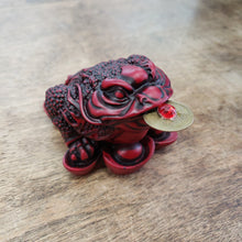 Load image into Gallery viewer, Chinese Money Toad Frog