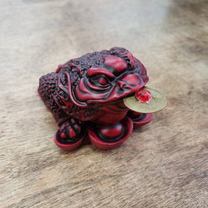 Chinese Money Toad Frog