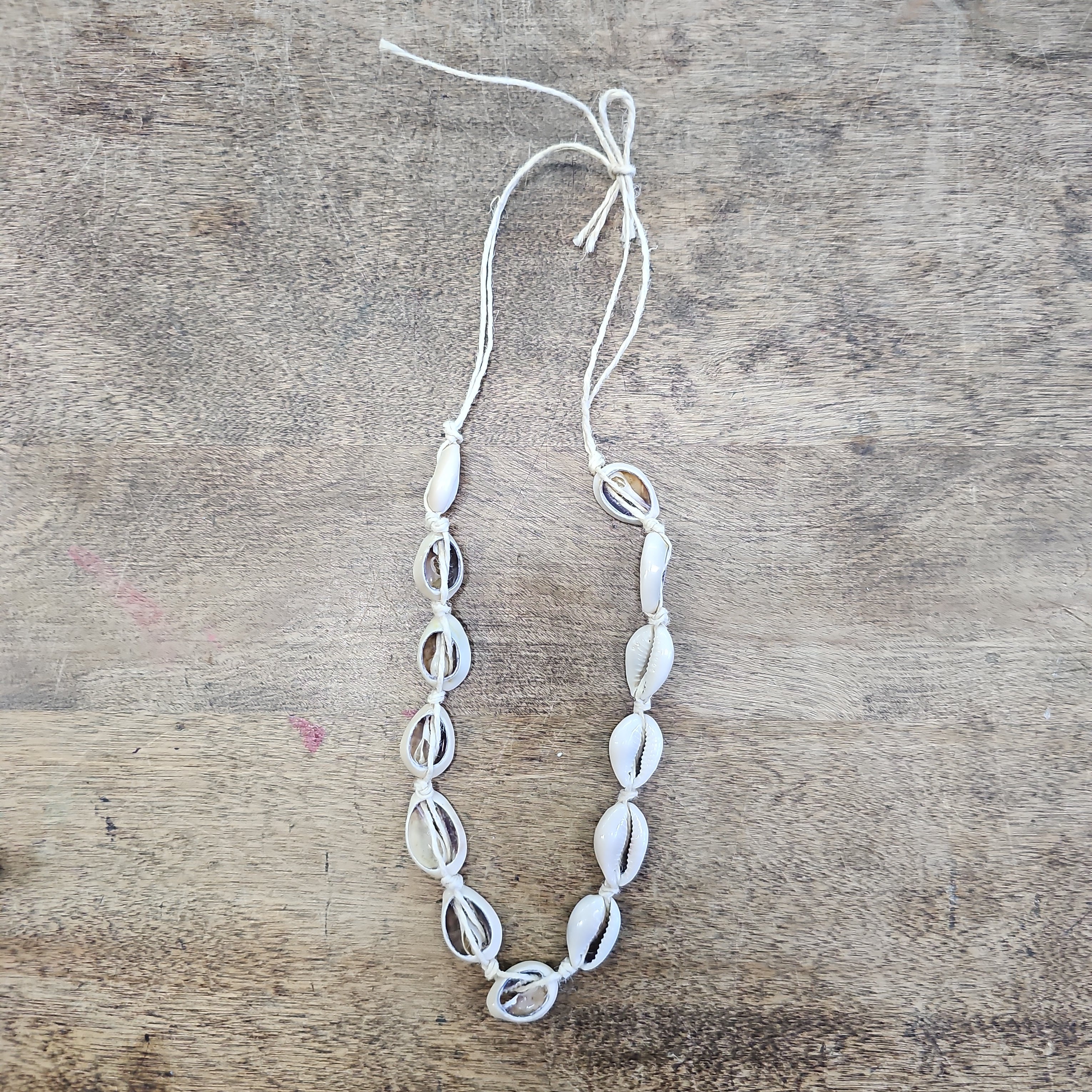 Shell Emprium Cowrie Shell Jewelry – Gemini's Eclectic Emporium