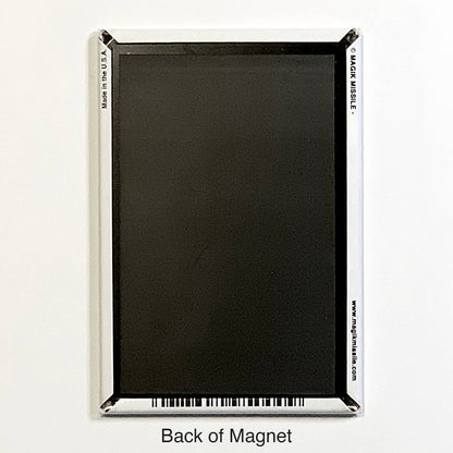 M208 - Funny Refrigerator Magnet