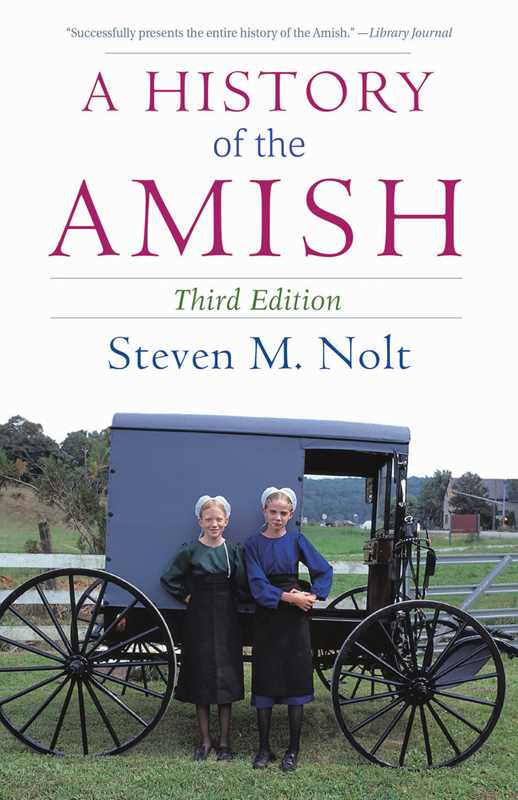 History of the Amish by Steven M. Nolt