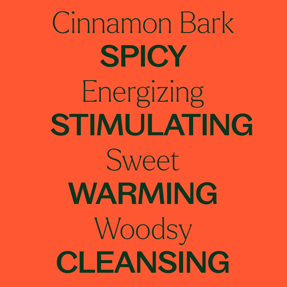 Cinnamon Bark Essential Oil 10 mL