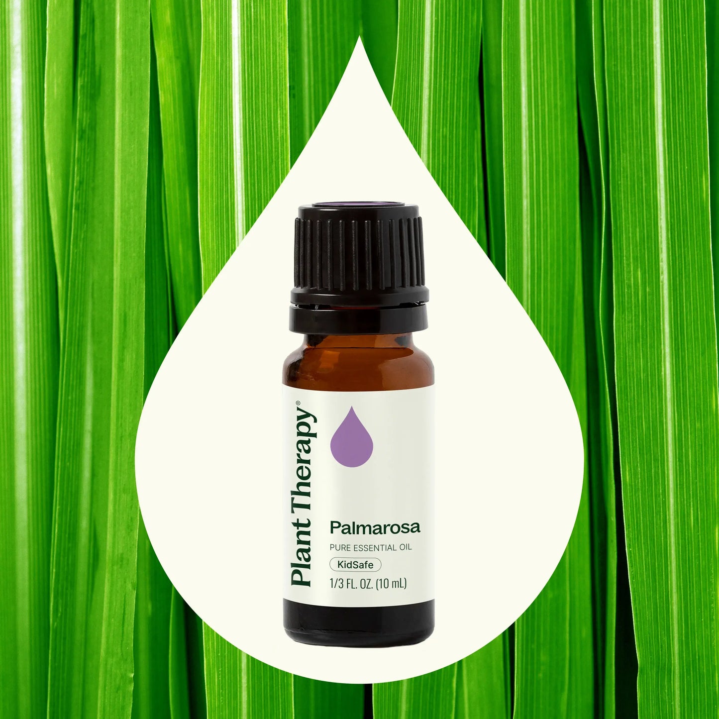 Palmarosa Essential Oil 10 mL
