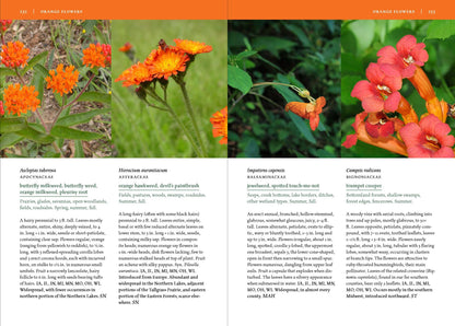 Wildflowers of the Midwest