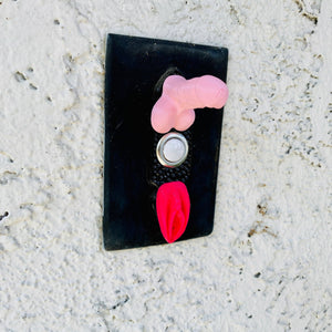 Pussy Magnet! Vulva Stick On Magnetic Vulva! Prank/Gag Gift