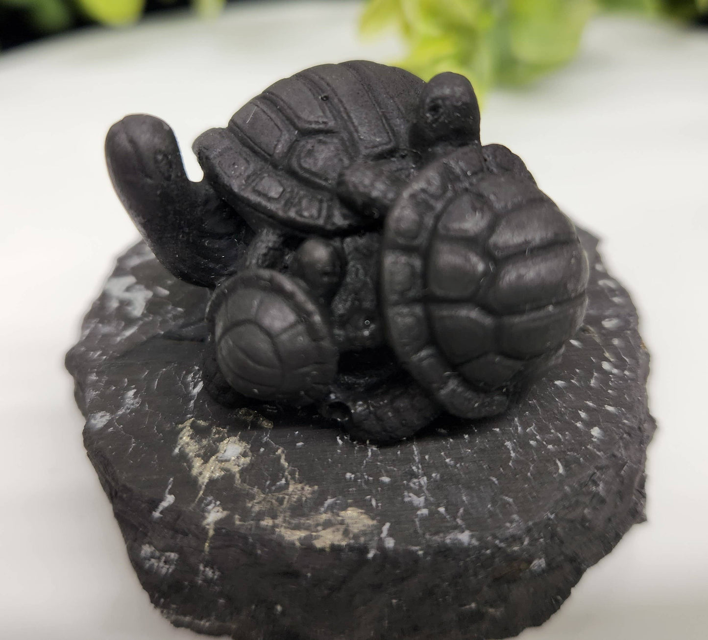 Shungite Figurine Turtle Family (1.75"x1.5") EMF Protection