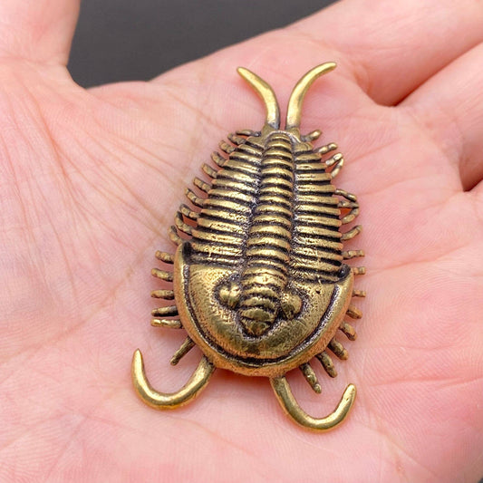 Brass Trilobite Crafts Desktop Ornaments Decoration