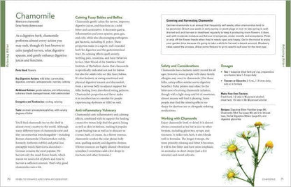 Herbal Gut Health
