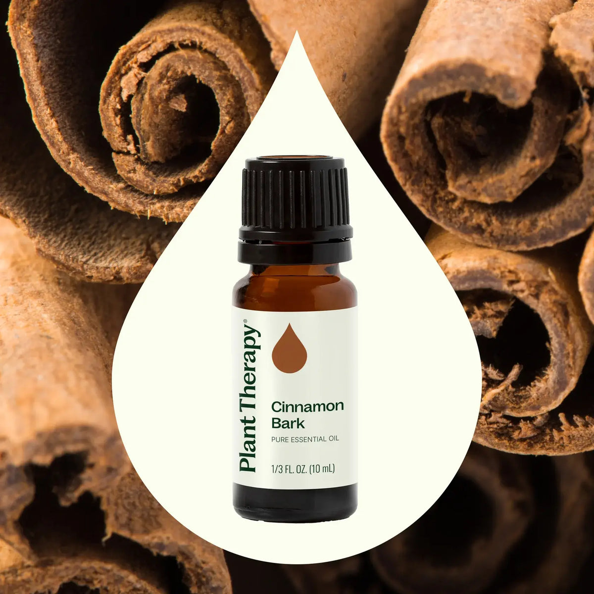 Cinnamon Bark Essential Oil 10 mL