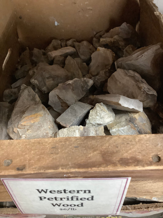 Western Petrified wood by pound in crate