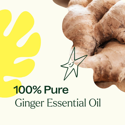 Ginger Essential Oil 10 mL