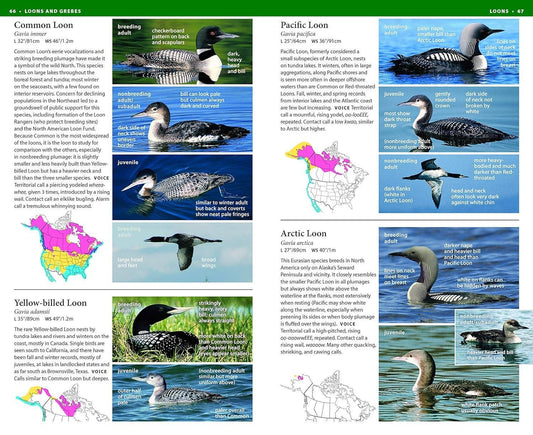 NWF Field Guide to Birds of North America