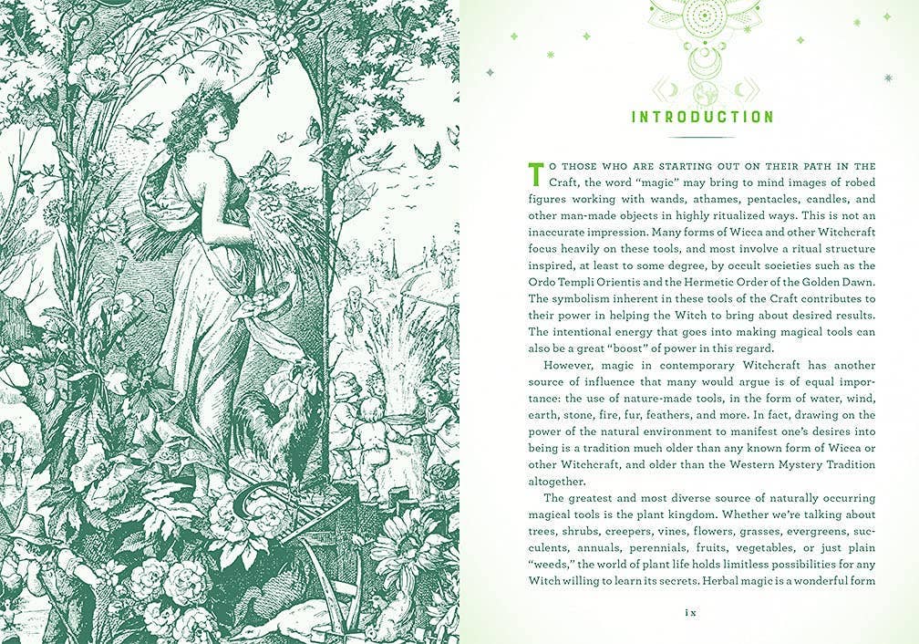 Wicca Herbal Magic: A Beginner's Guide