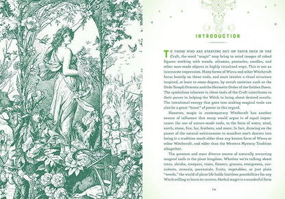 Wicca Herbal Magic: A Beginner's Guide