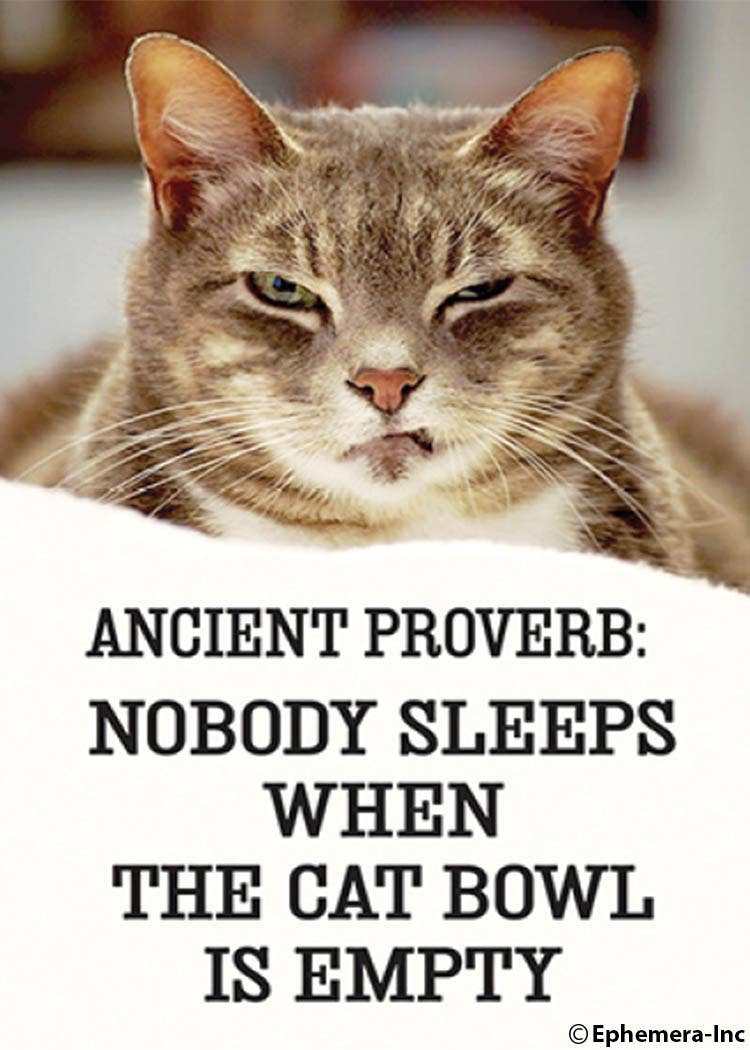 Magnet-Ancient proverb: Nobody sleeps…
