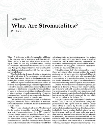 Stromatolites: Ancient, Beautiful, and Earth-Altering