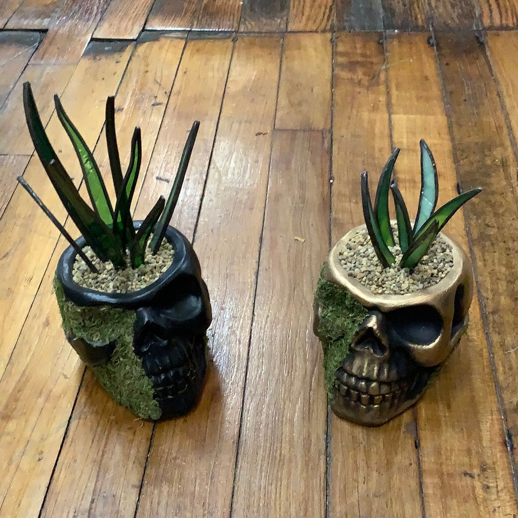 Skull Stained Glass Aloe Plant