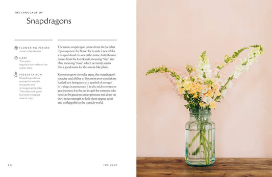 Healing Power of Flowers by Claire Bowen