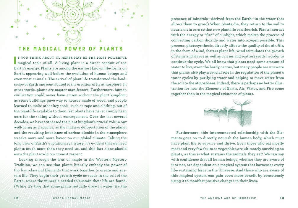 Wicca Herbal Magic: A Beginner's Guide