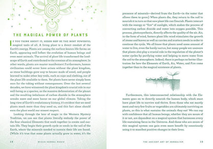 Wicca Herbal Magic: A Beginner's Guide