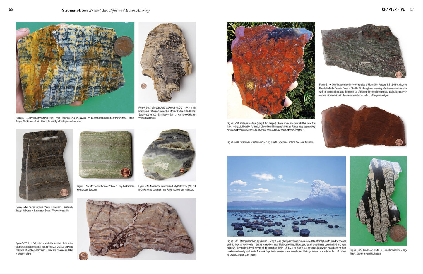 Stromatolites: Ancient, Beautiful, and Earth-Altering