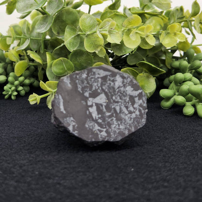 Shungite Figurine Owl Facing Sideways (2.25x1.75x2.25")