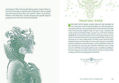 Wicca Herbal Magic: A Beginner's Guide