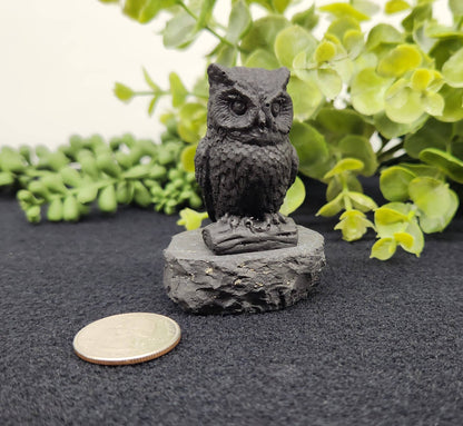 Shungite Figurine Owl Facing Front (2.25x1.75x2.25")