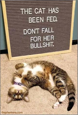 MAGNET: The Cat has been fed.