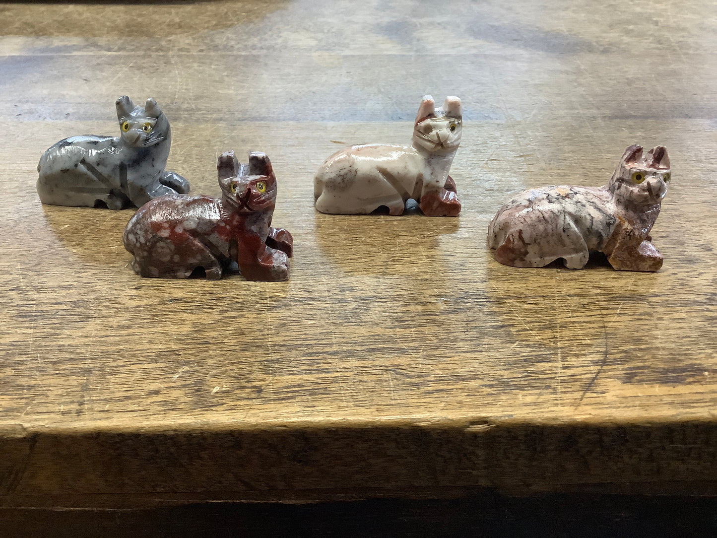 Dolomite laying cat power animal