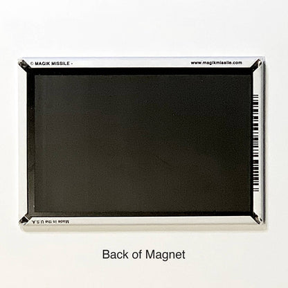 M135 - Funny Refrigerator Magnet