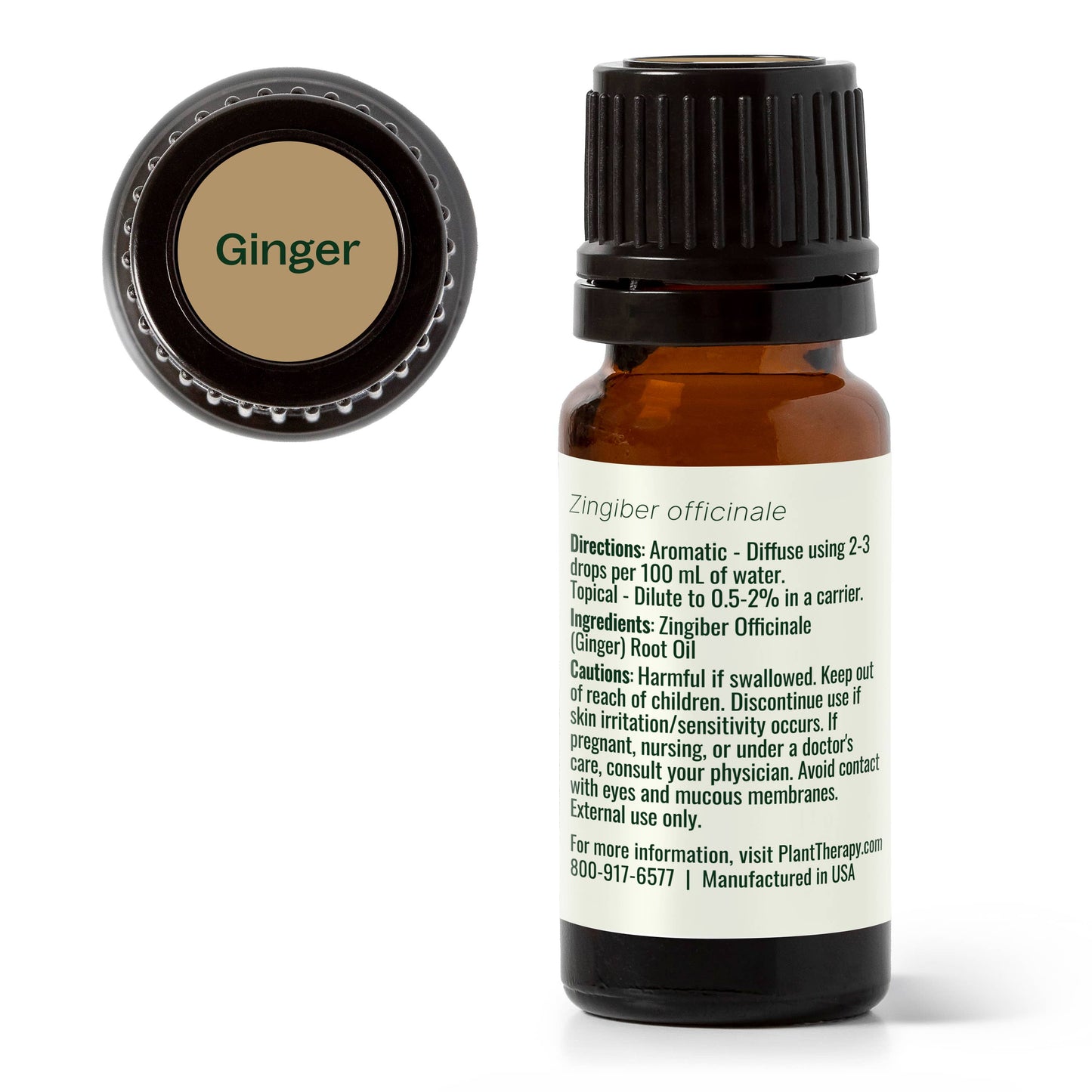 Ginger Essential Oil 10 mL