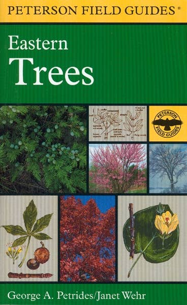 Peterson Field Guide to Eastern Trees, A: George A. Petrides