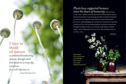 The Generosity Of Plants