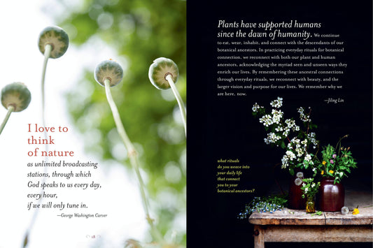 The Generosity Of Plants