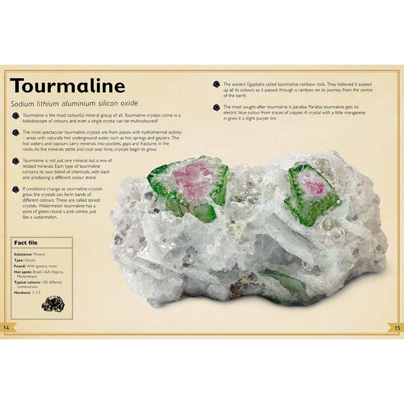 The Magnificent Book of Rocks and Minerals