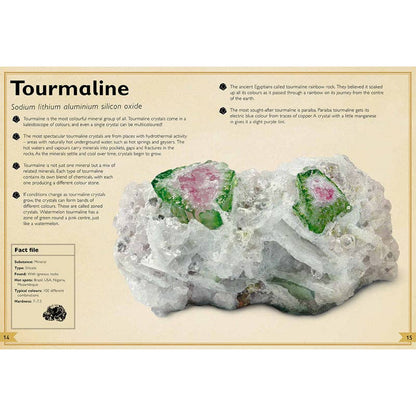 The Magnificent Book of Rocks and Minerals