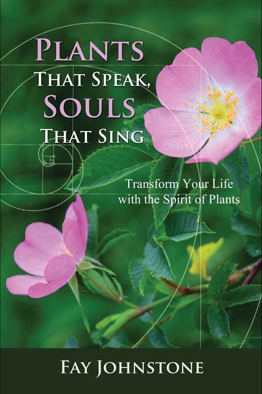 Plants That Speak, Souls That Sing by Fay Johnstone