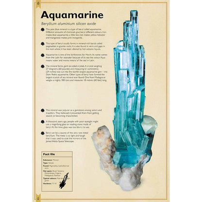 The Magnificent Book of Rocks and Minerals