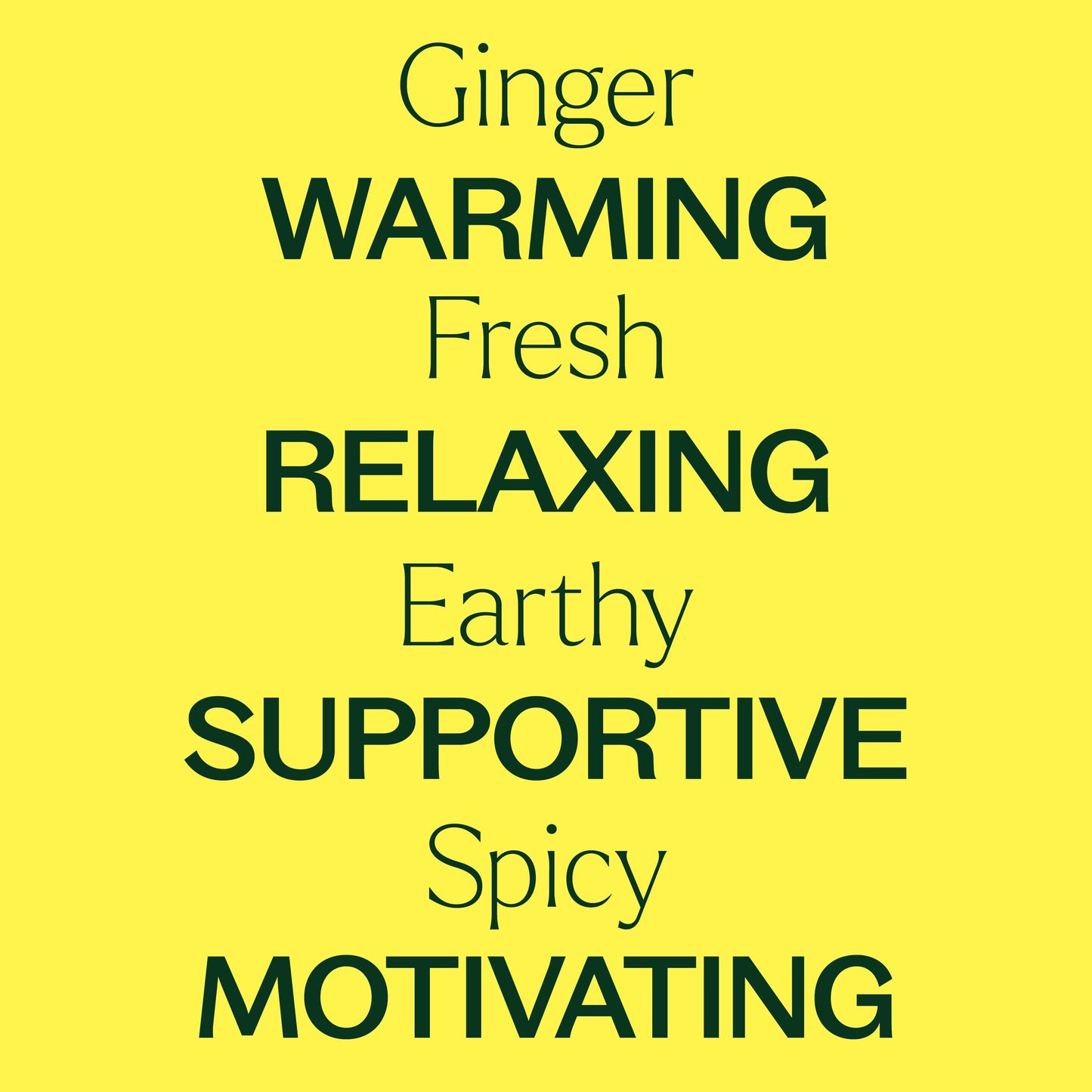 Ginger Essential Oil 10 mL