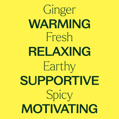 Ginger Essential Oil 10 mL