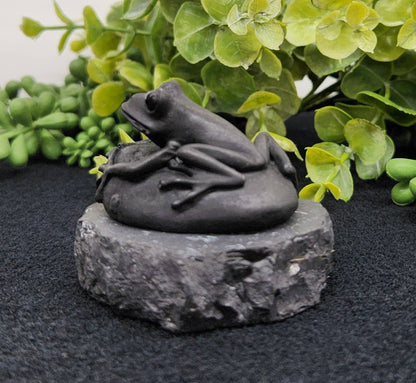 Shungite Figurine Frog on Stone(2.5x2x1.75")(EMF Protection)