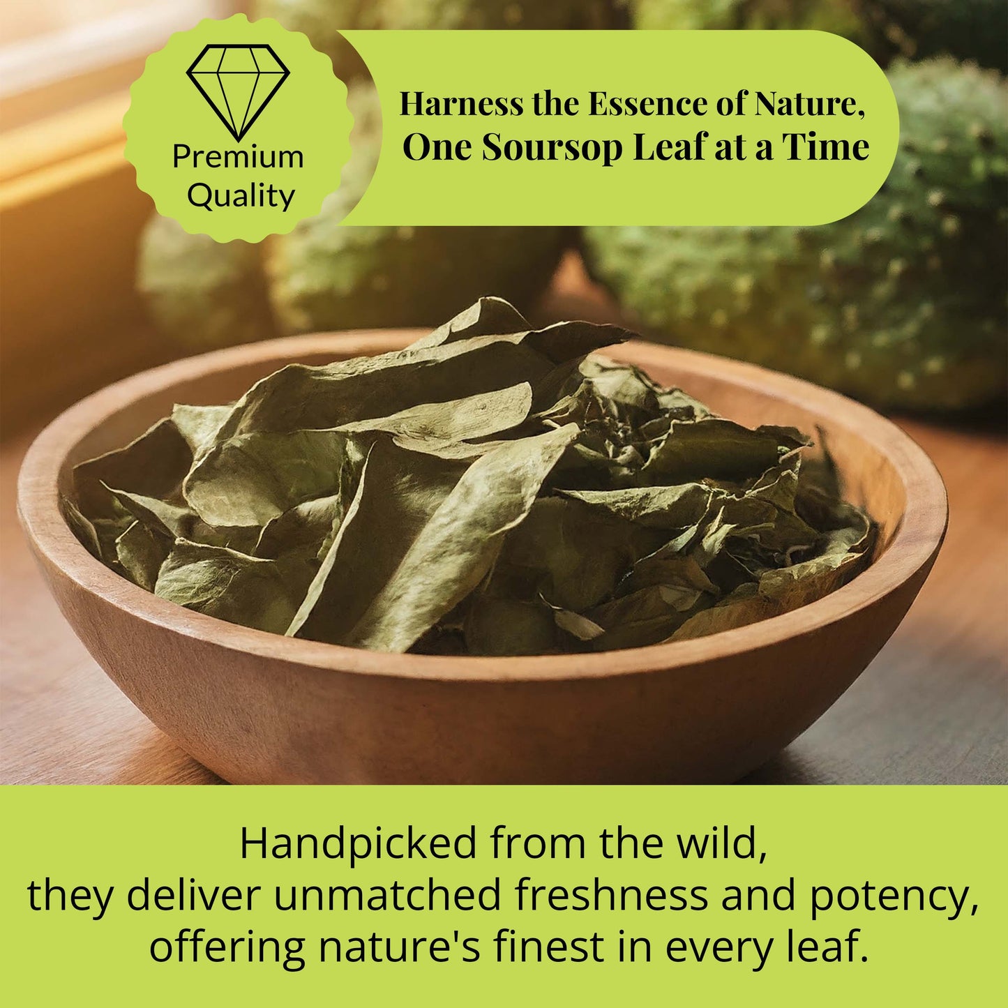 Bulk Soursop Leaves, Hojas de Guanabana Dried Graviola Leaf.