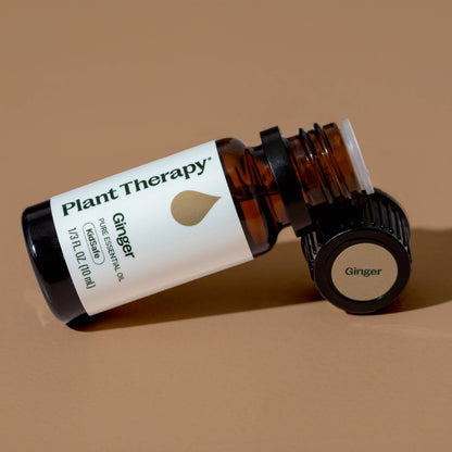 Ginger Essential Oil 10 mL