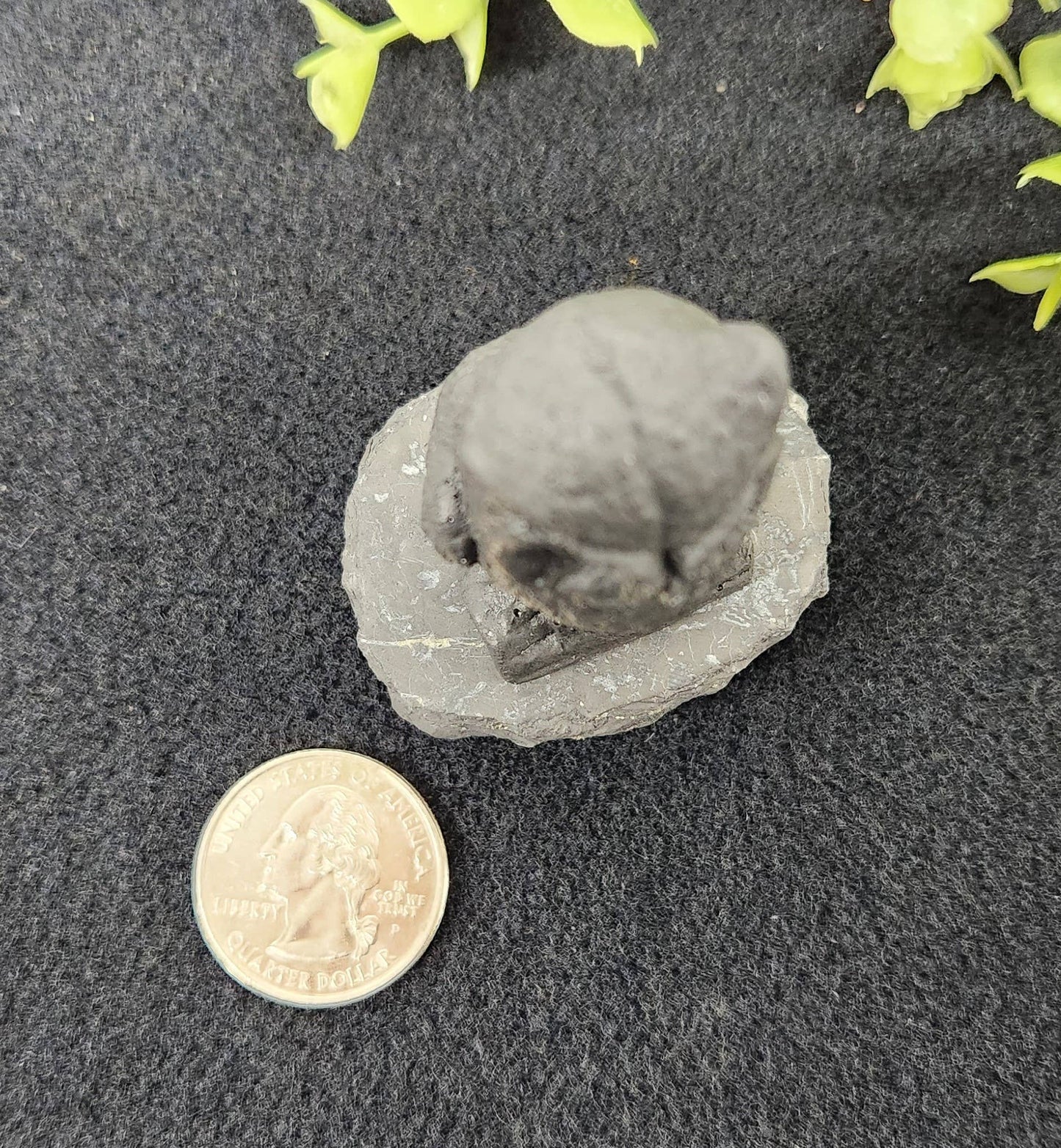 Shungite Figurine Owl Facing Front (2.25x1.75x2.25")