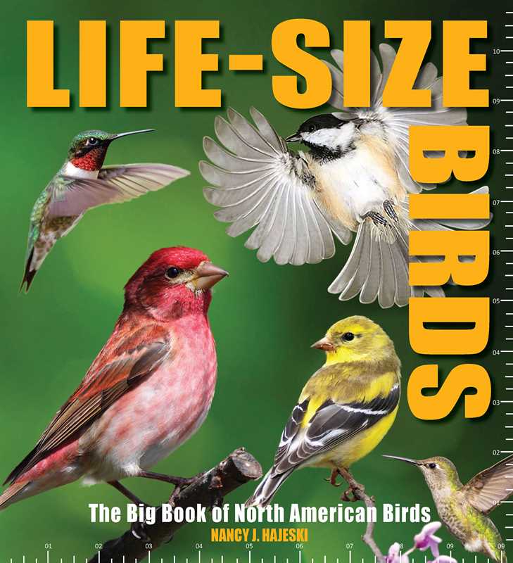 Life-Size Birds by Nancy J. Hajeski