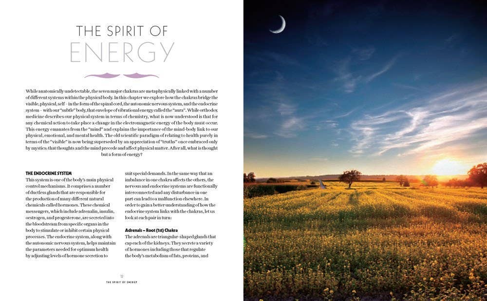 Book of Chakra Healing by Liz Simpson