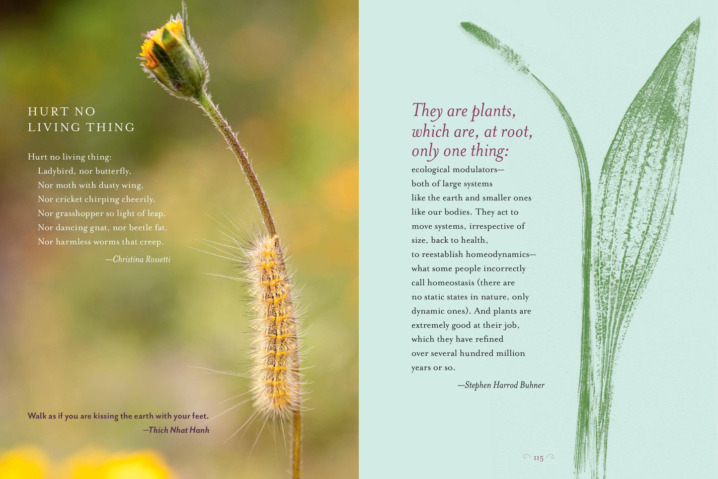 The Generosity Of Plants
