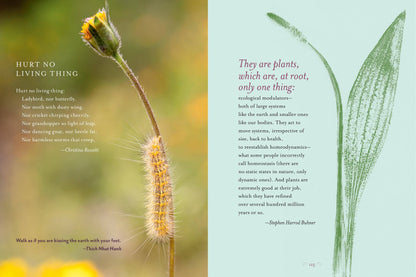 The Generosity Of Plants