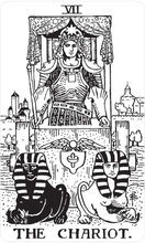 Load image into Gallery viewer, Black &amp; White Rider-Waite® Tarot Deck